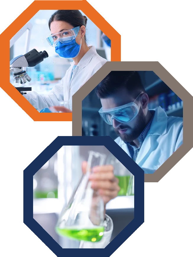 Scientists at work in a laboratory